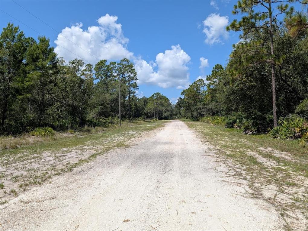 A dirt road stretches through a wooded area under a bright blue sky — 1113 TROPICANA DRIVE, INDIAN LAKE ESTATES, FL