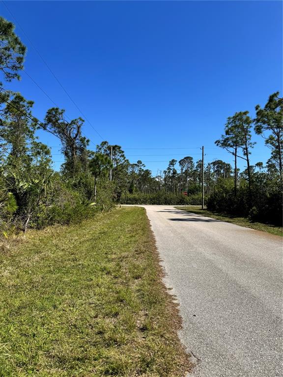 A paved road leads toward a T-intersection surrounded by dense trees and vegetation — 14400 POCONO AVENUE, PORT CHARLOTTE, FL