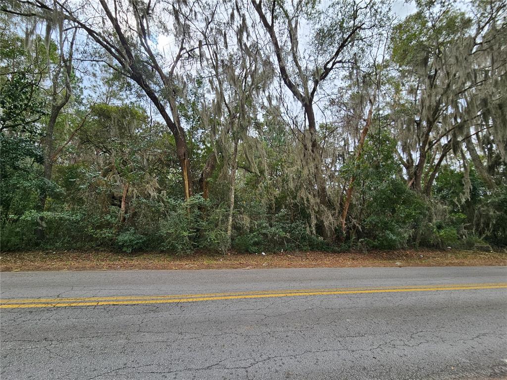 A paved road runs in front of a dense, wooded lot with Spanish moss-covered trees — tbd SW 6TH AVENUE, WILLISTON, FL