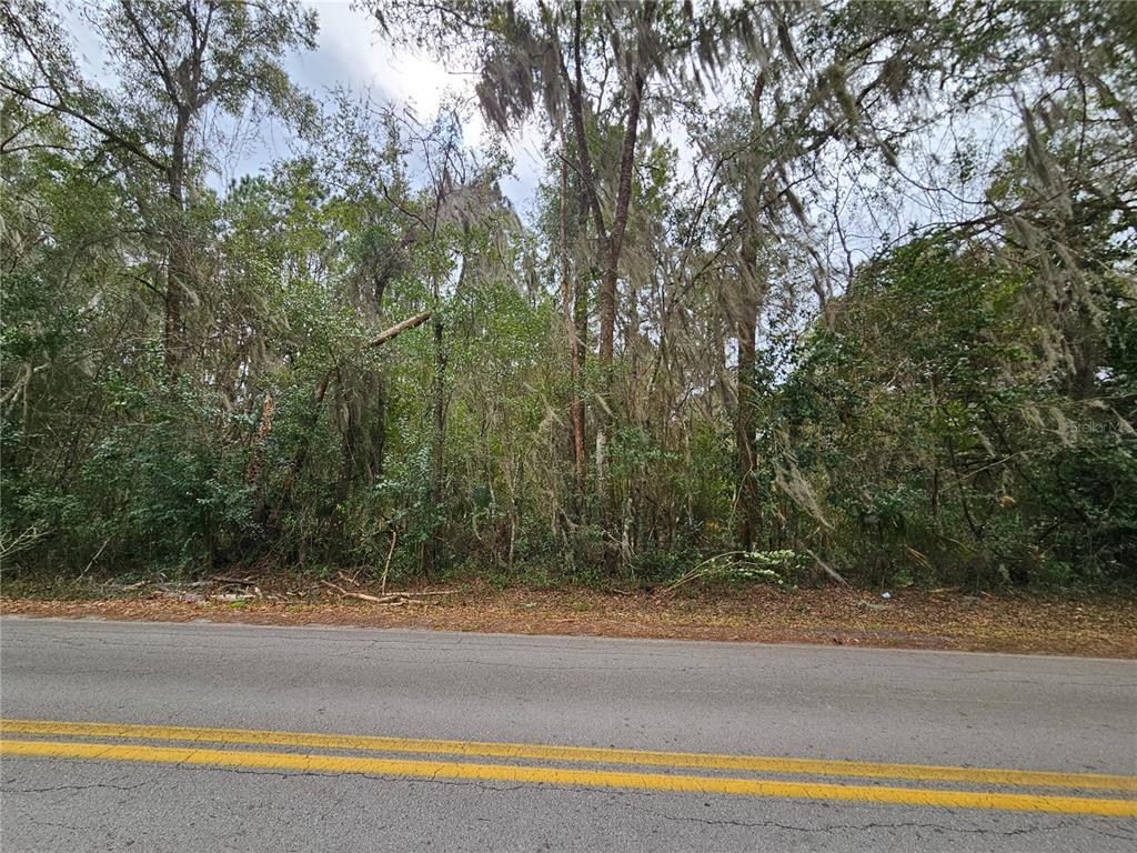 A paved road runs in front of a dense, wooded lot with tall, moss-covered trees — tbd SW 6TH AVENUE, WILLISTON, FL