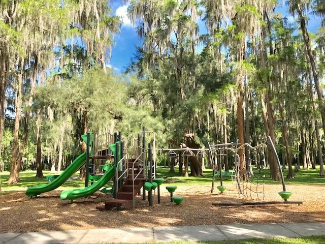 A playground with green slides and climbing structures sits in a wooded area with tall trees — 0 PURDUE STREET, NEW PORT RICHEY, FL