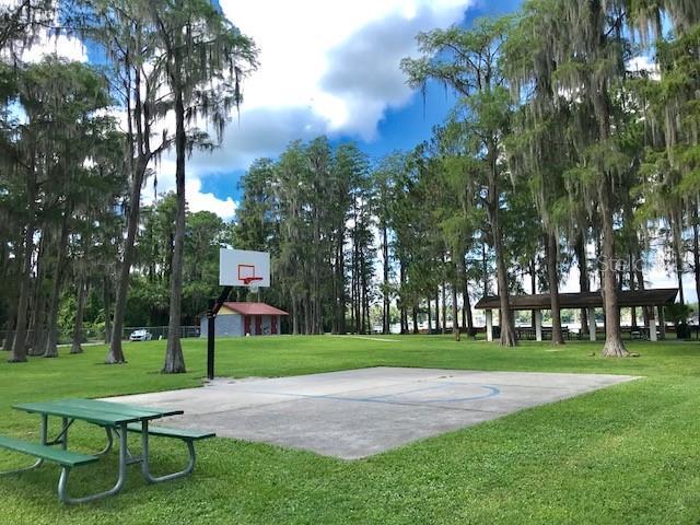 A basketball court sits on a grassy lawn near a picnic pavilion and tall trees — 0 PURDUE STREET, NEW PORT RICHEY, FL
