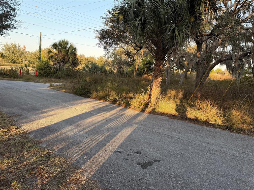 A paved road curves past a grassy, undeveloped lot with trees and palm plants — 13934 LITEWOOD DRIVE, HUDSON, FL