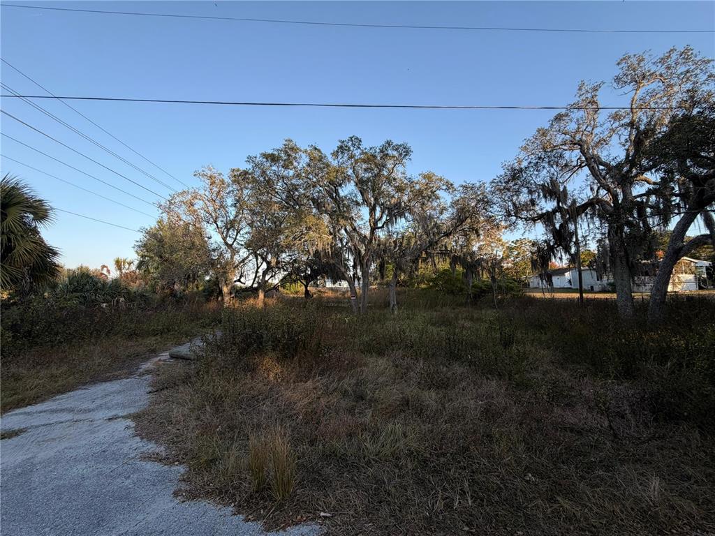 A vacant, overgrown lot features several large oak trees draped in Spanish moss — 13934 LITEWOOD DRIVE, HUDSON, FL
