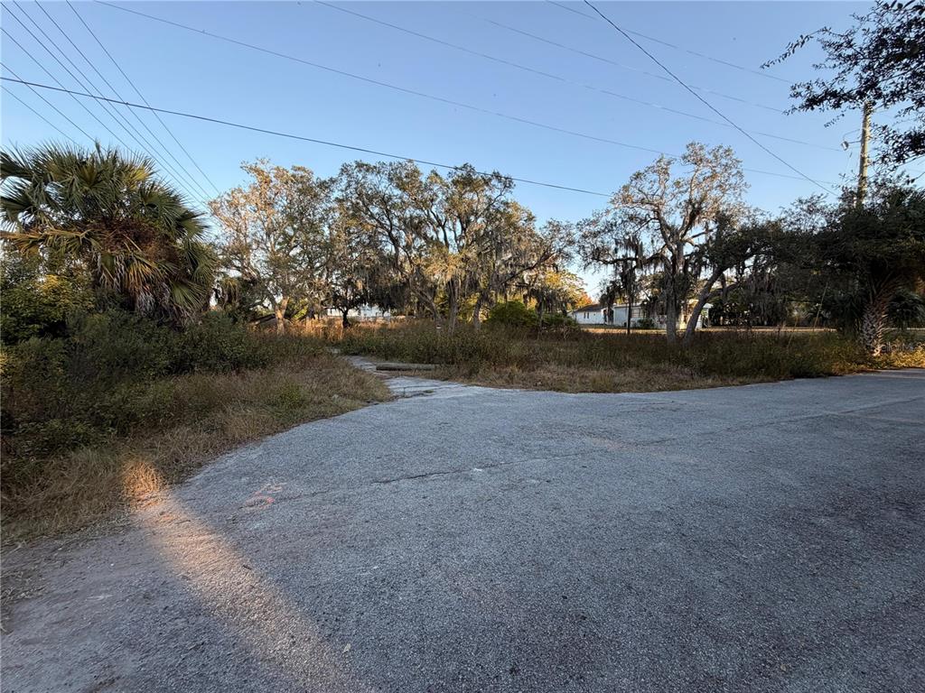 An empty, overgrown residential lot with a paved driveway entrance and mature trees — 13934 LITEWOOD DRIVE, HUDSON, FL