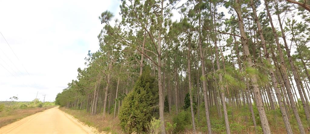 TBD TOWER ROAD, BASCOM, FL — photo 4 of 8