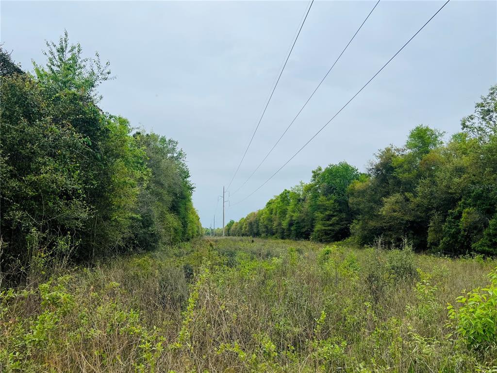 TBD TOWER ROAD, BASCOM, FL — photo 5 of 8
