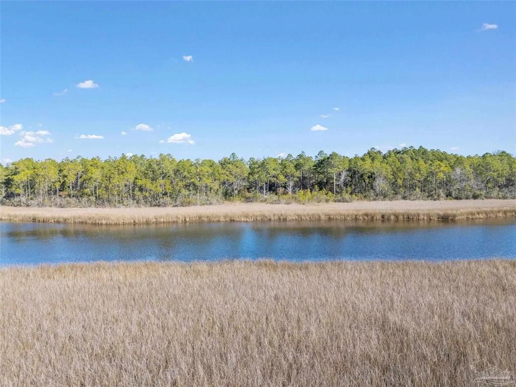 A body of water separates a grassy marsh from a dense forest under a blue sky — 5599 DEL REY STREET, MILTON, FL