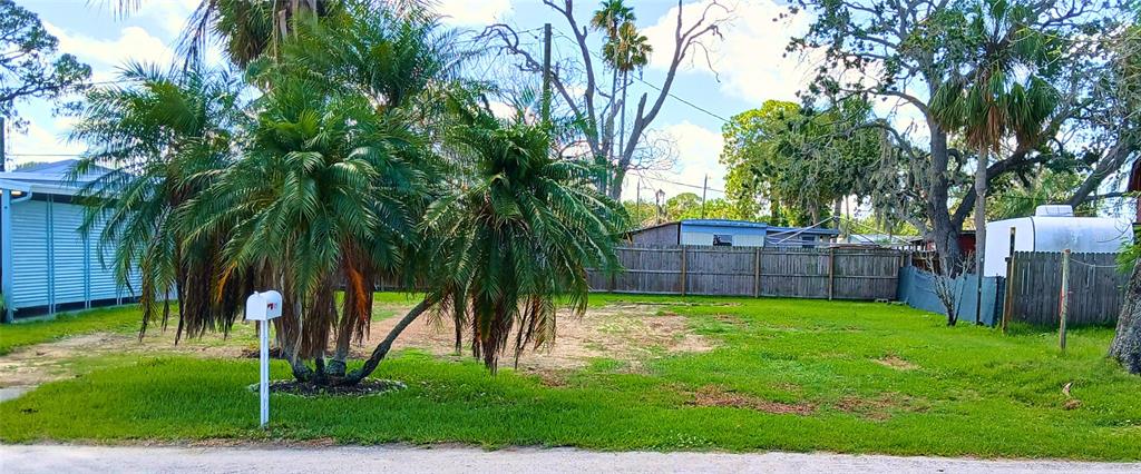 A vacant grassy lot features a cluster of palm trees and a white mailbox — 6828 EDGEWATER DRIVE, NEW PORT RICHEY, FL