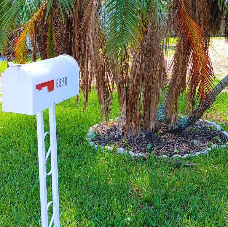 A white mailbox with the number 6828 stands in a grassy yard near a palm tree — 6828 EDGEWATER DRIVE, NEW PORT RICHEY, FL