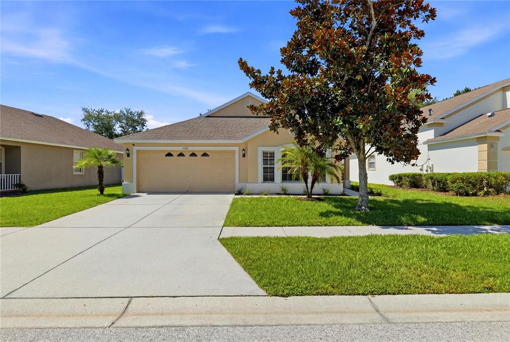 A single-story house with a beige exterior, a two-car garage, and a large front tree — 19406 SUNSET BAY DRIVE, LAND O LAKES, FL
