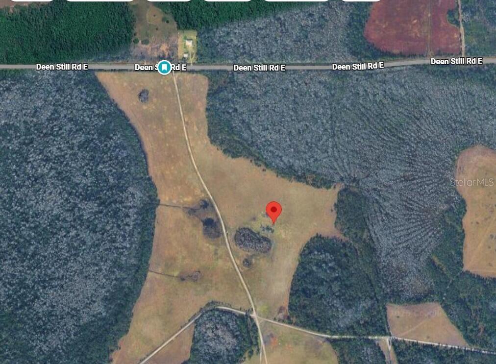 This is a satellite map view of a large, open grassy lot surrounded by forest — DEEN STILL ROAD E, POLK CITY, FL