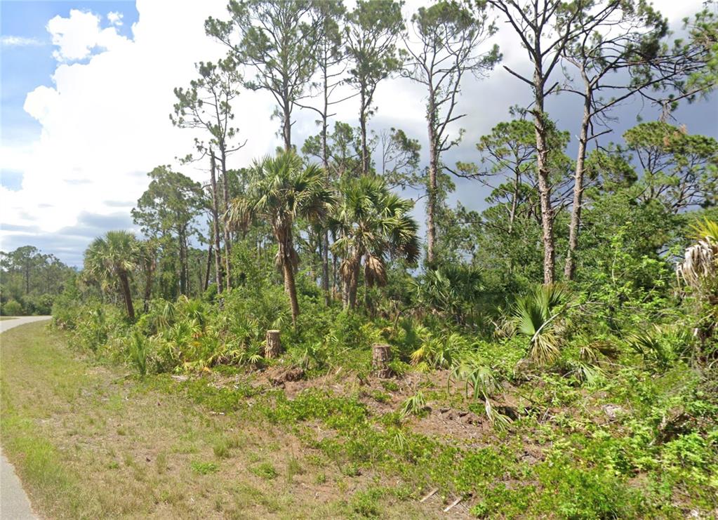 A wooded lot with pine trees and palmettos sits beside a paved road — 362 BINNEY LANE, PORT CHARLOTTE, FL