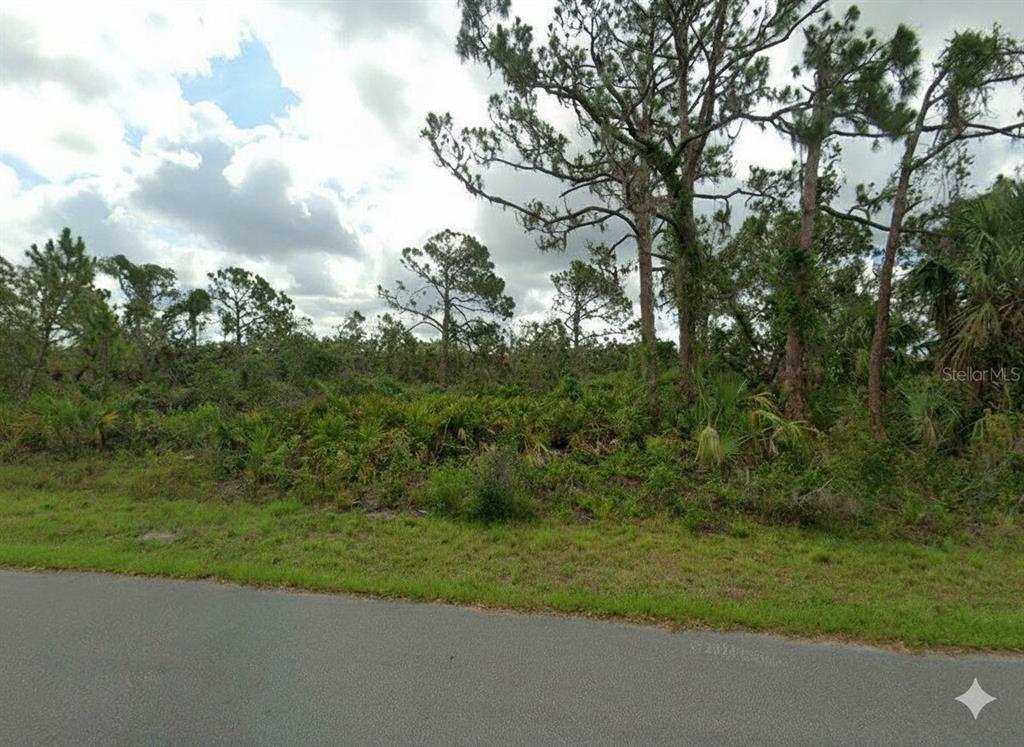 A paved road runs in front of a wooded, undeveloped lot with tall pine trees — 2216 PRIVATE CIRCLE, PORT CHARLOTTE, FL