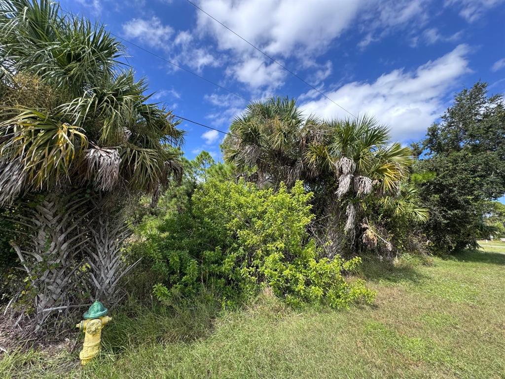 A yellow fire hydrant stands in front of palm trees and dense green vegetation — 13612 KEYSTONE BOULEVARD, PORT CHARLOTTE, FL