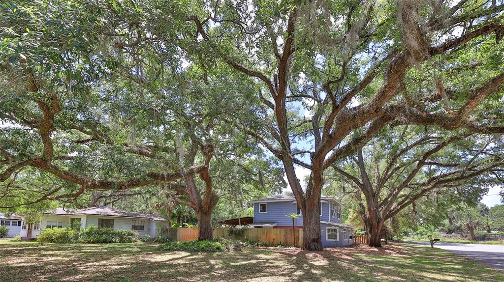 A blue two-story house and a white single-story house sit beneath large, moss-covered oak trees — 801 E 20TH STREET, SANFORD, FL