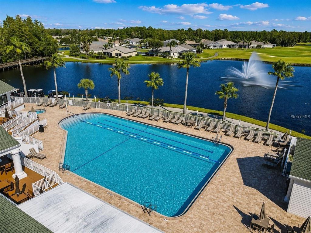 An outdoor swimming pool with lounge chairs overlooks a lake with a fountain and houses — 1444 CANBERLEY COURT, TRINITY, FL
