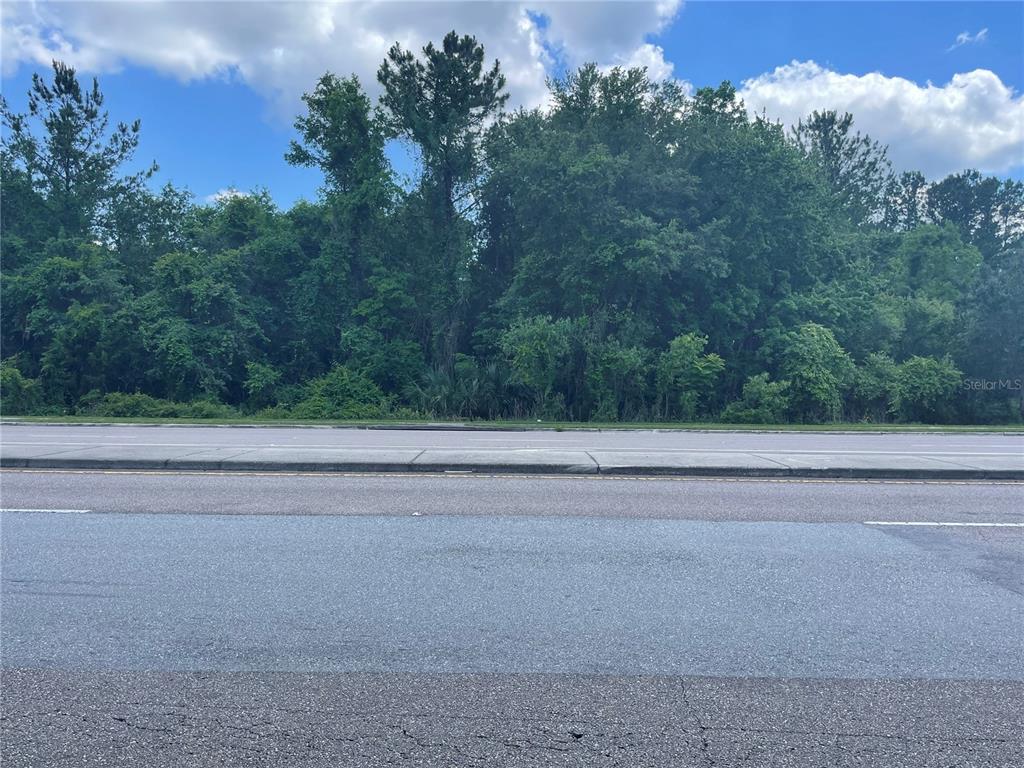 A paved road runs in front of a dense, wooded lot under a cloudy sky — 000 SE HAWTHORNE ROAD, HAWTHORNE, FL