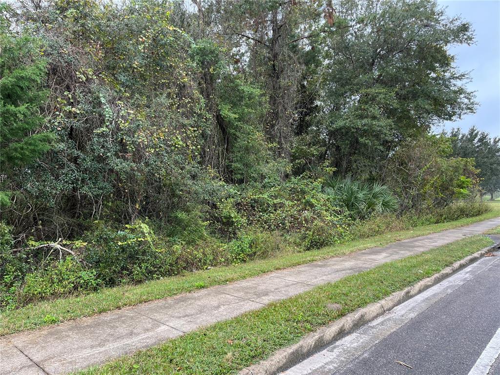 A sidewalk runs alongside a dense, overgrown wooded lot next to a paved road — 000 SE HAWTHORNE ROAD, HAWTHORNE, FL