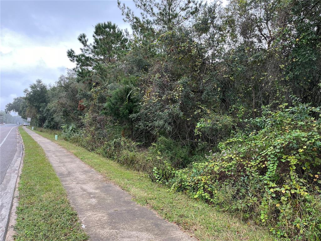 A sidewalk runs alongside a dense, wooded area next to a paved road — 000 SE HAWTHORNE ROAD, HAWTHORNE, FL