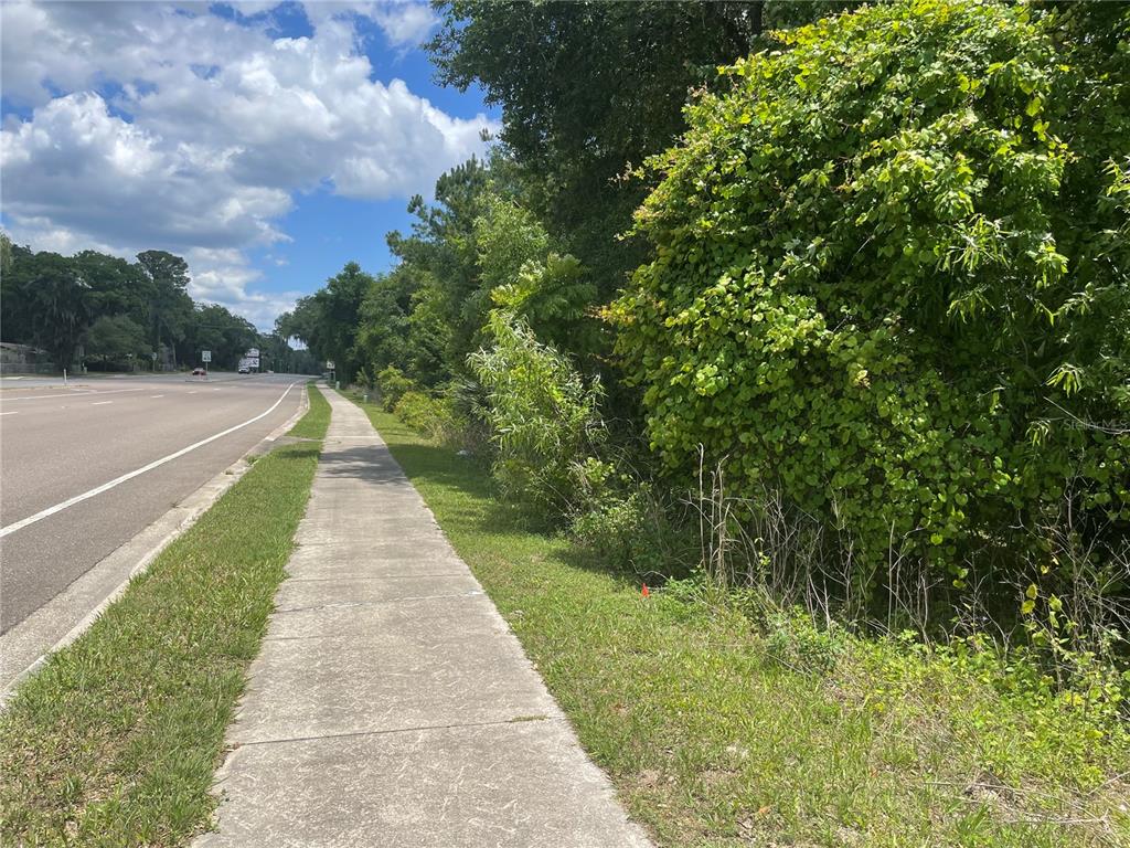 A concrete sidewalk runs alongside a paved road next to a dense, overgrown wooded area — 000 SE HAWTHORNE ROAD, HAWTHORNE, FL