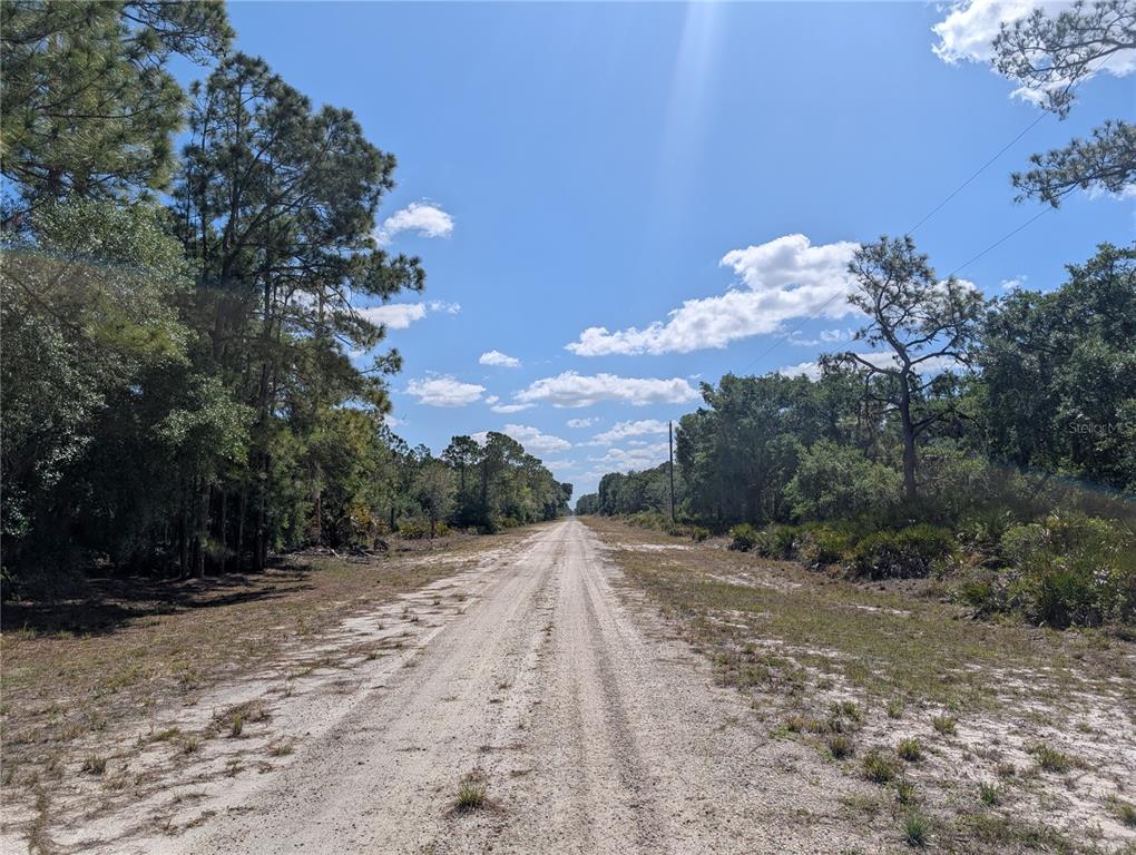 A dirt road stretches through a wooded area under a bright blue sky — 1114 PLUMOSA DRIVE, INDIAN LAKE ESTATES, FL
