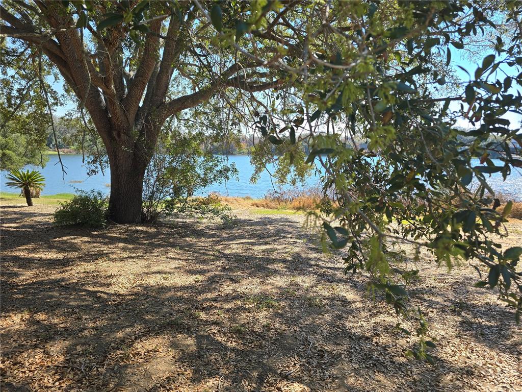 A large oak tree stands on a grassy bank overlooking a blue lake — WESTMORELAND AVENUE, EUSTIS, FL