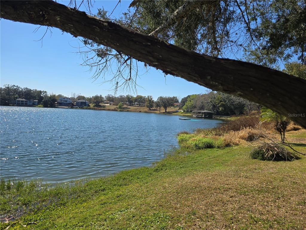 A view of a lake from a grassy shore with a large tree branch overhead — WESTMORELAND AVENUE, EUSTIS, FL