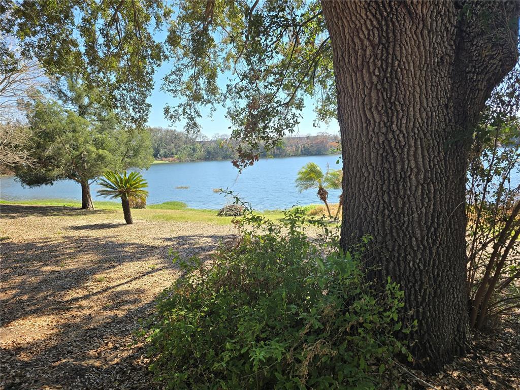 A large tree trunk stands in the foreground overlooking a lake and grassy yard — WESTMORELAND AVENUE, EUSTIS, FL