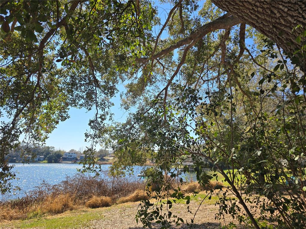 A view of a lake framed by tree branches and foliage from a grassy shore — WESTMORELAND AVENUE, EUSTIS, FL