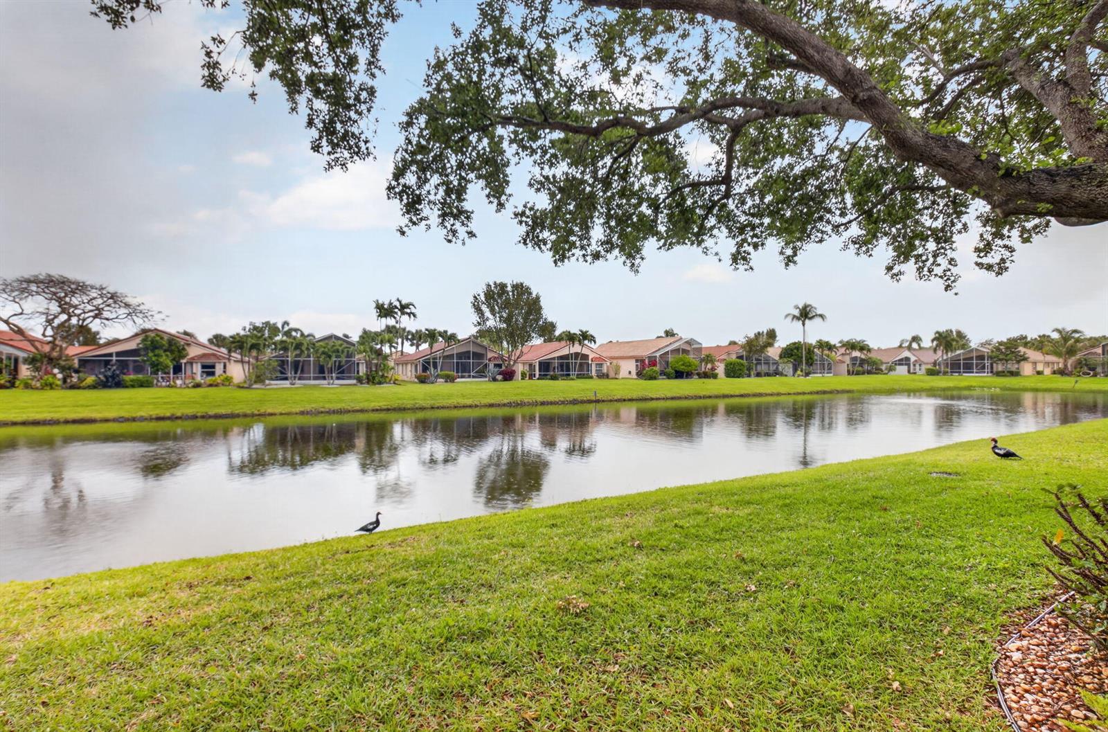 A grassy lawn slopes down to a pond in front of several suburban houses — 5256 Glenville Drive, Boynton Beach FL 33437, BOYNTON BEACH, FL