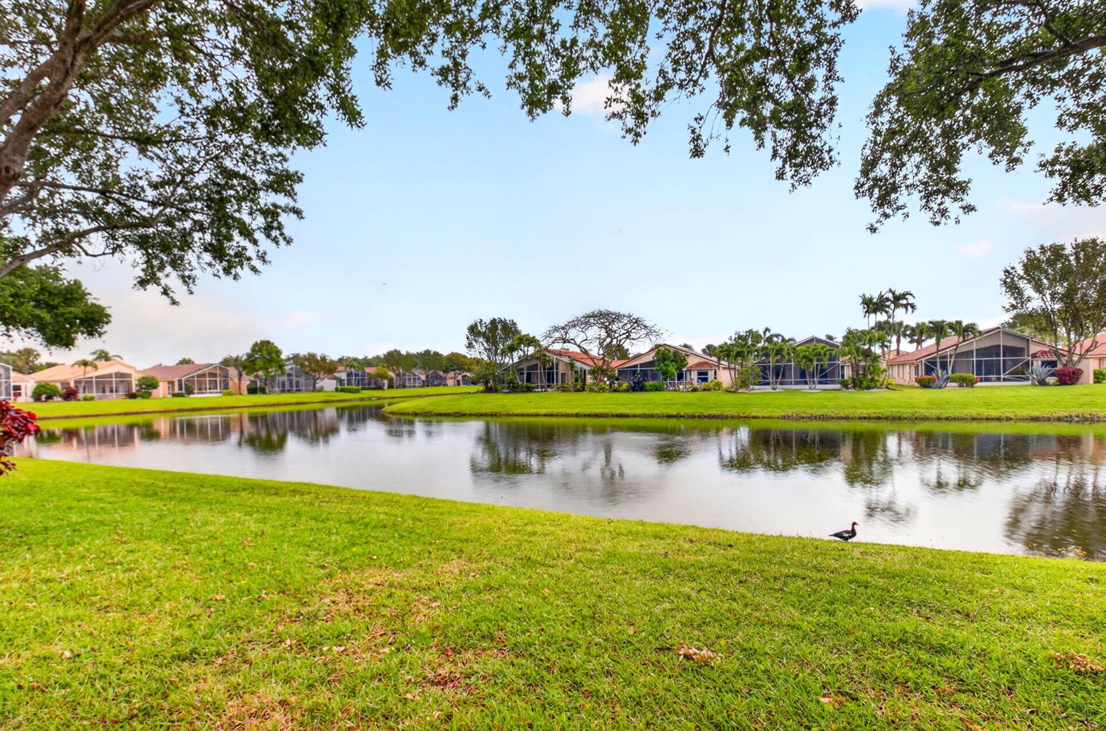 A grassy lawn overlooks a calm pond with residential houses in the background — 5256 Glenville Drive, Boynton Beach FL 33437, BOYNTON BEACH, FL