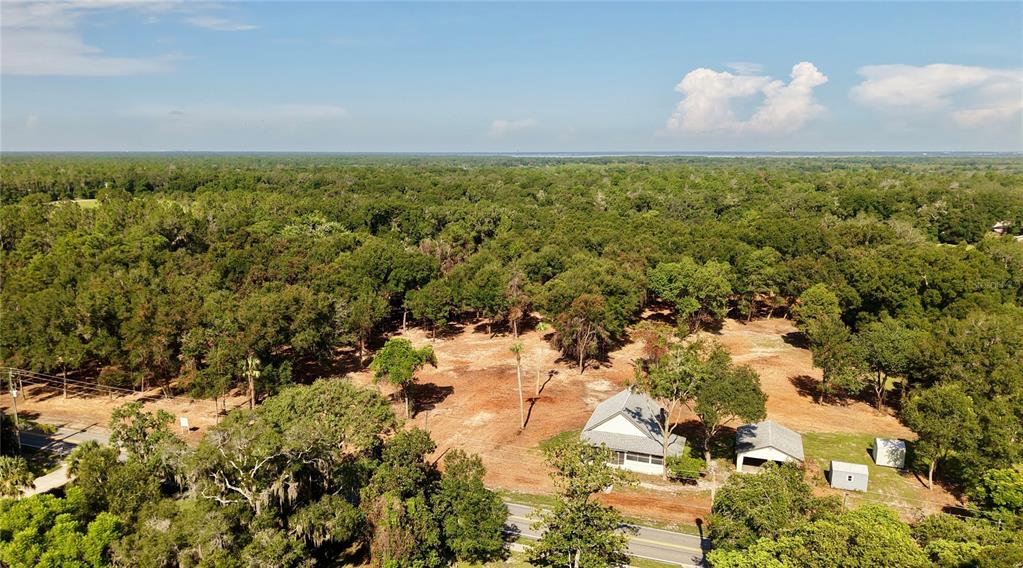 An aerial view shows a house and outbuildings on a large, partially wooded rural lot — 450 OLD GENEVA ROAD, GENEVA, FL