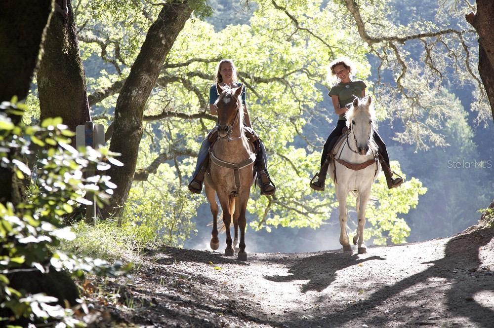 Two women ride horses along a sunlit dirt path through a wooded area — 57TH STREET, DUNNELLON, FL
