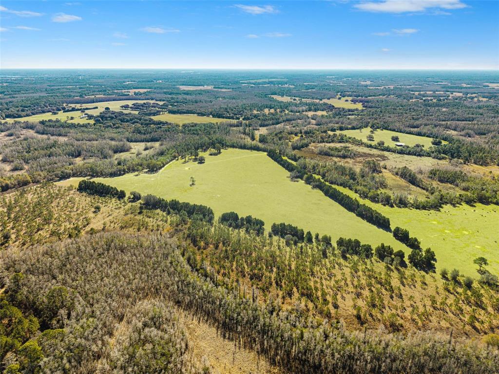 An aerial view shows a large, open pasture outlined in white against a rural landscape — LAKE ERIE ROAD, GROVELAND, FL
