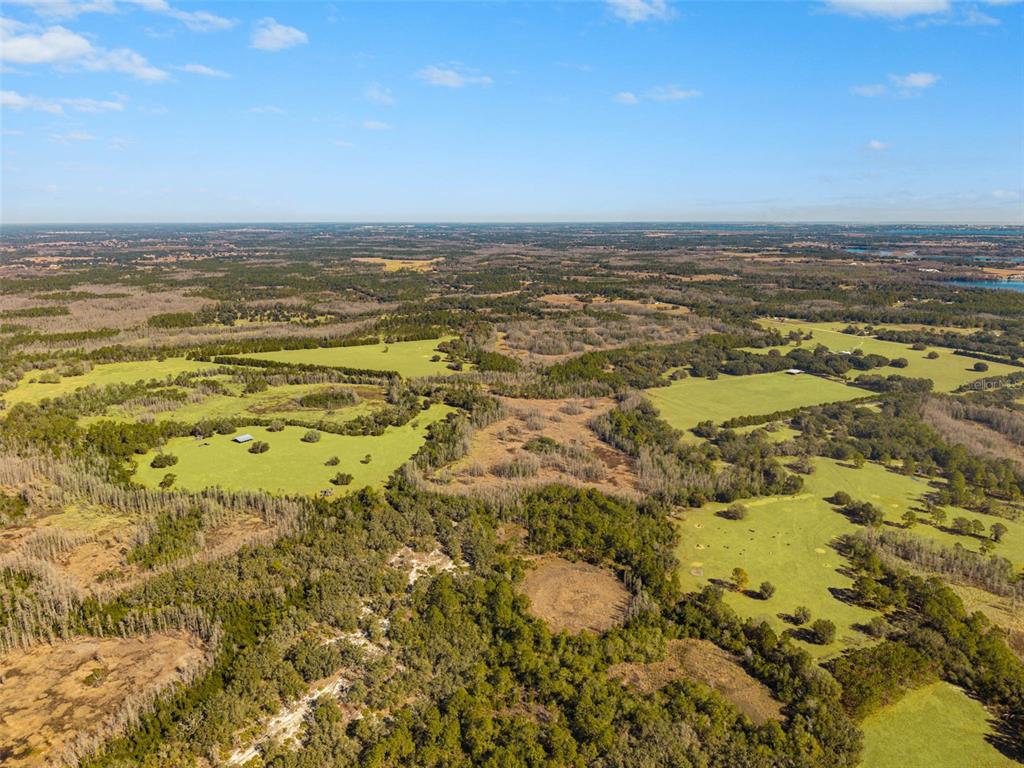 An aerial view shows a large, open pasture surrounded by dense forest and scattered trees — LAKE ERIE ROAD, GROVELAND, FL