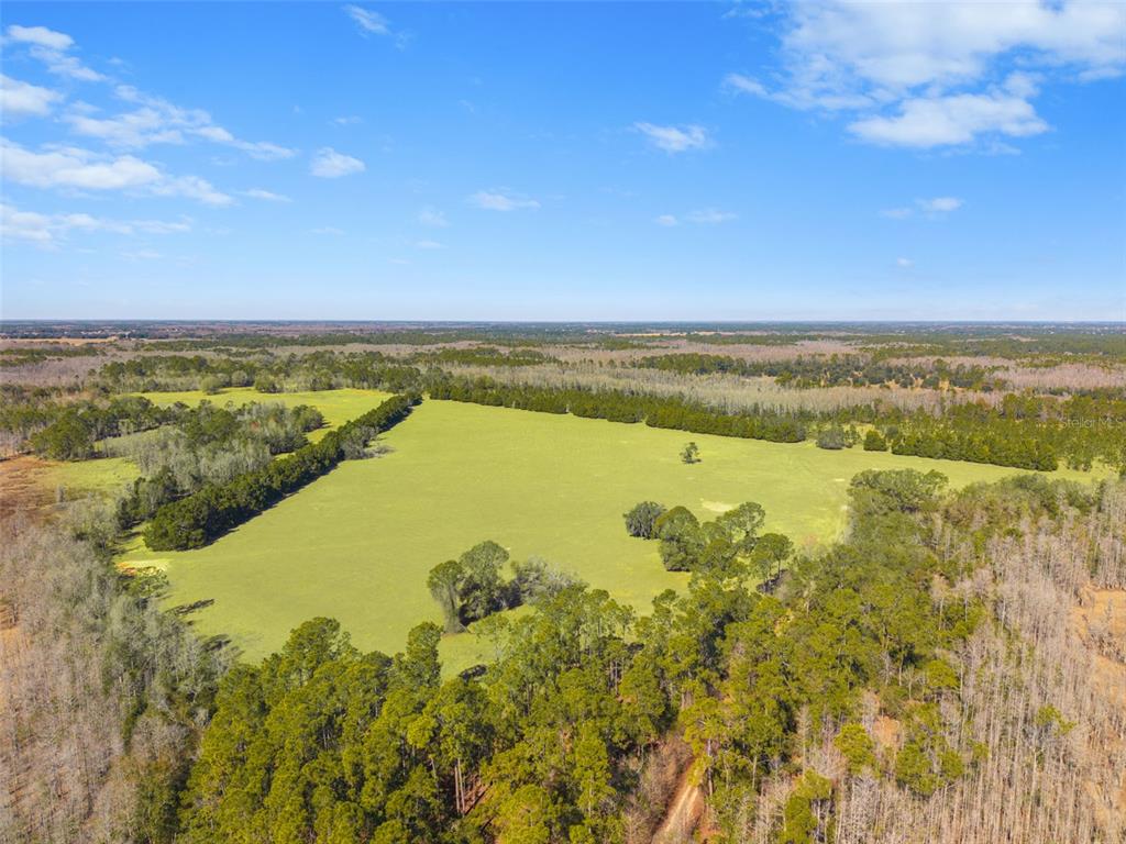 An aerial view shows a large expanse of rural land with grassy fields and trees — LAKE ERIE ROAD, GROVELAND, FL
