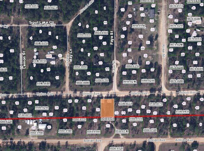 405 UNION AVENUE, INTERLACHEN, FL — photo 2 of 3