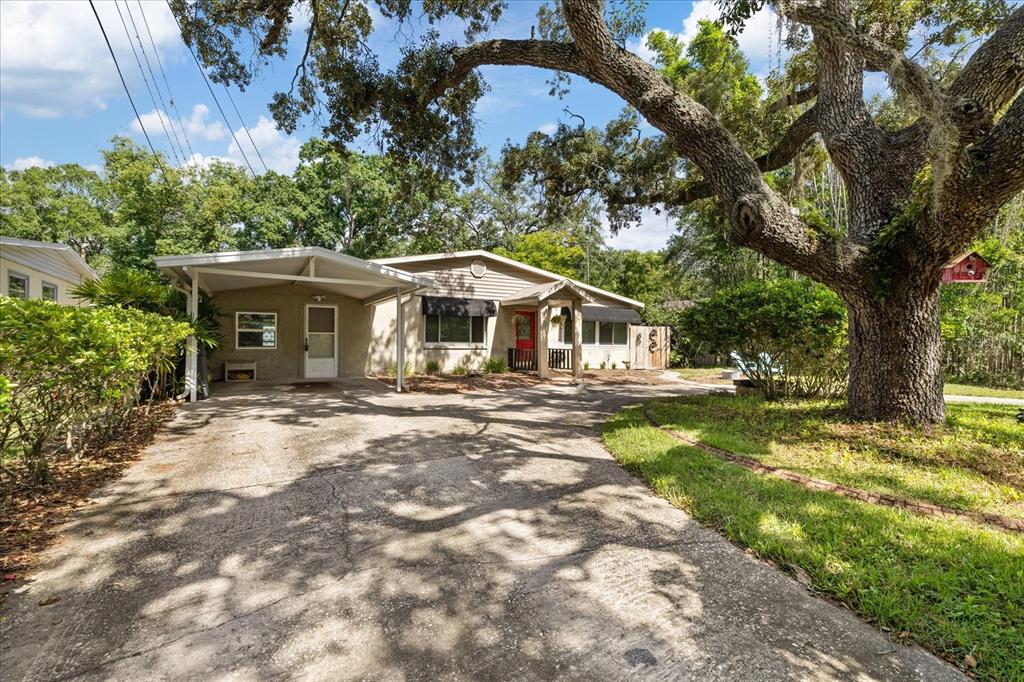 A single-story house with a carport, red front door, and a large oak tree — 12510 NOREAST LAKE DRIVE, TAMPA, FL