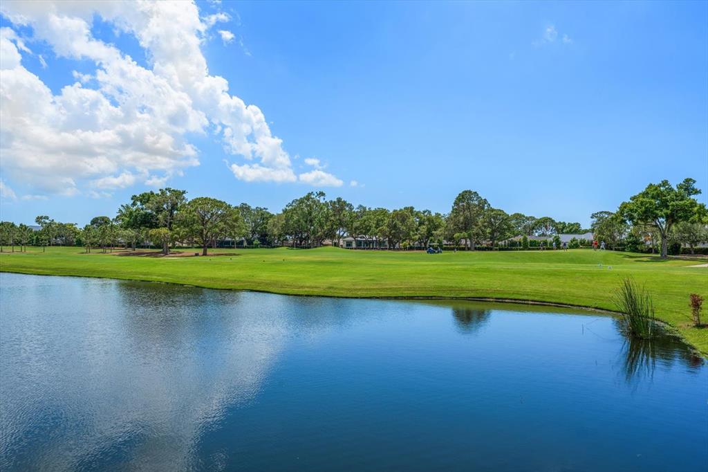 A view of a golf course fairway and a pond under a blue sky — 19 HIBISCUS ROAD, BELLEAIR, FL