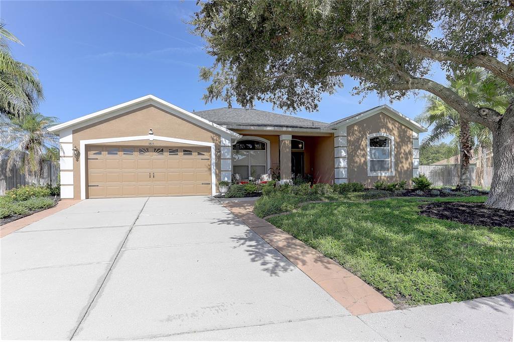 A single-story house with a tan stucco exterior, a two-car garage, and a large oak tree — 3815 RED BLUFF CT, LAND O LAKES, FL