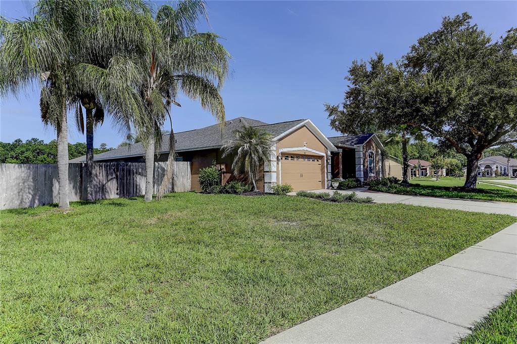 A single-story house with a tan exterior, a two-car garage, and a palm tree — 3815 RED BLUFF CT, LAND O LAKES, FL
