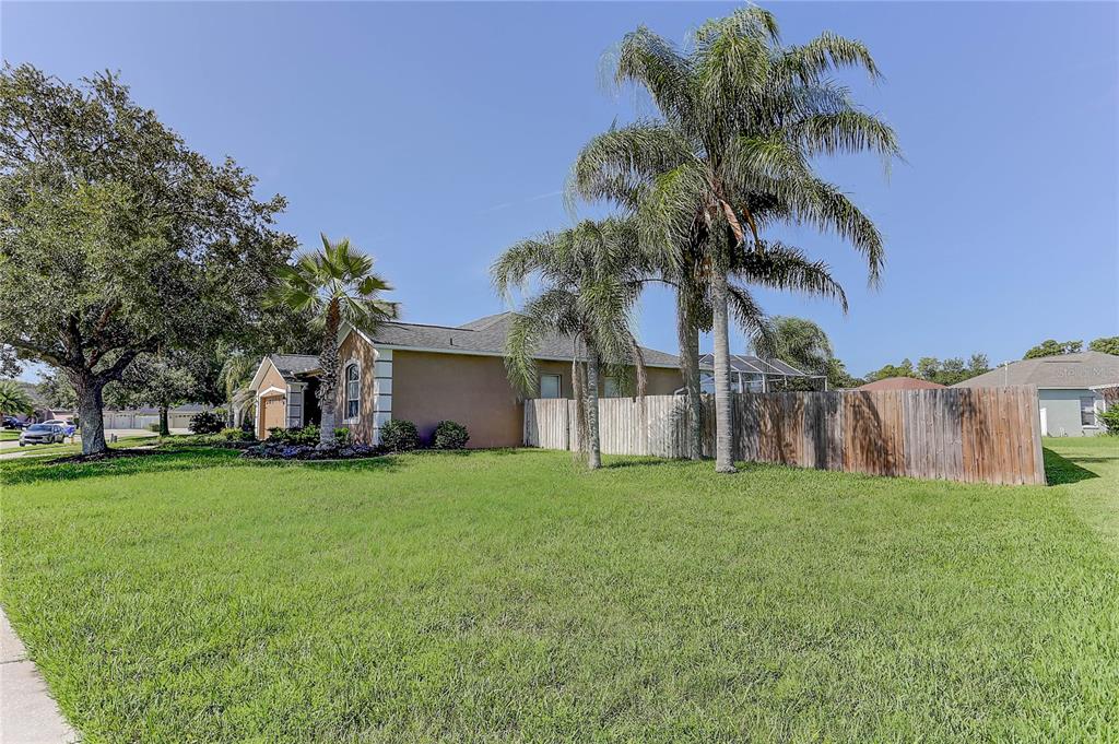 A tan house with a wooden fence and palm trees sits on a grassy lot — 3815 RED BLUFF CT, LAND O LAKES, FL