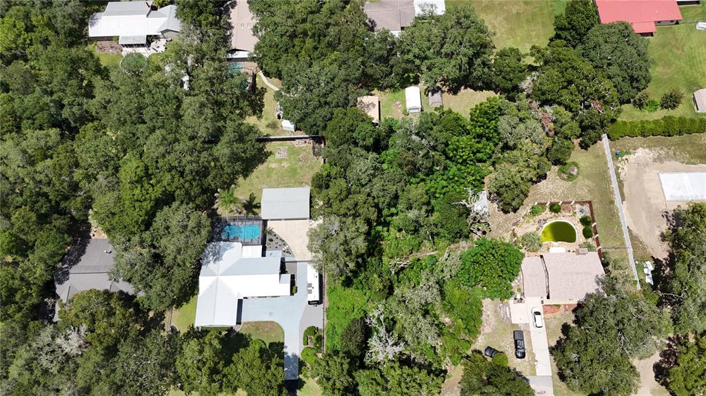 An aerial view shows two houses with swimming pools surrounded by dense trees and vegetation — CLARK ROAD, FRUITLAND PARK, FL