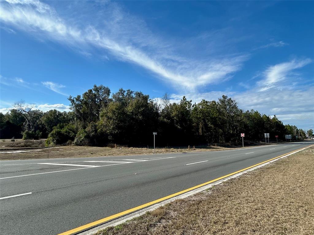 TBD US HWY 19 (N YOUNG BLVD)