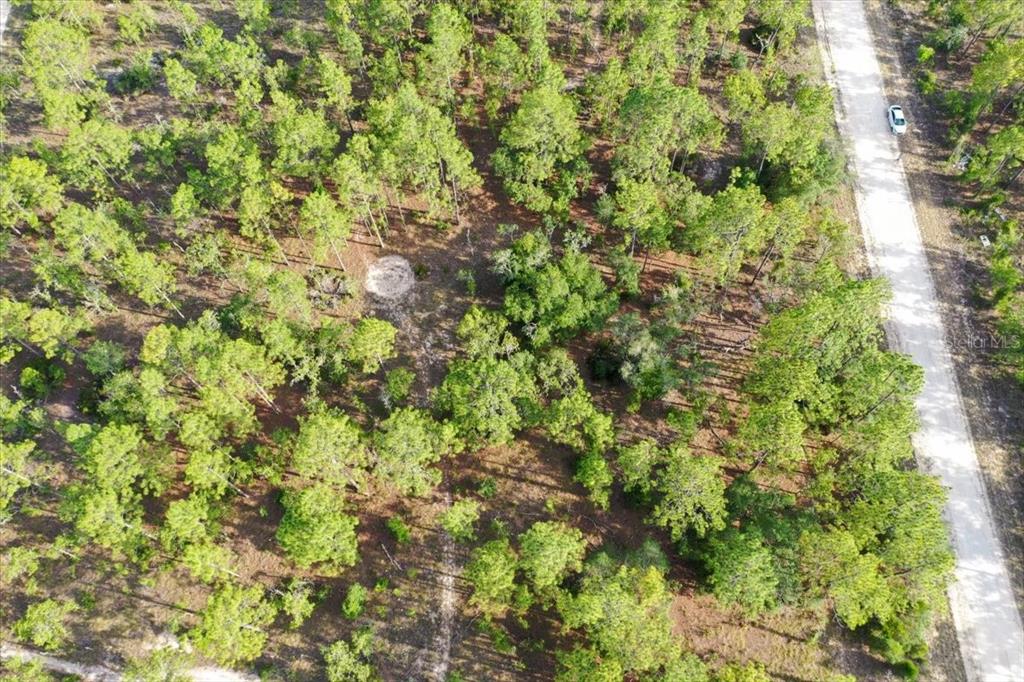 An aerial view shows a wooded lot with a dirt road running along the side — 0000 NE 131 LOT 9 TERRACE, WILLISTON, FL