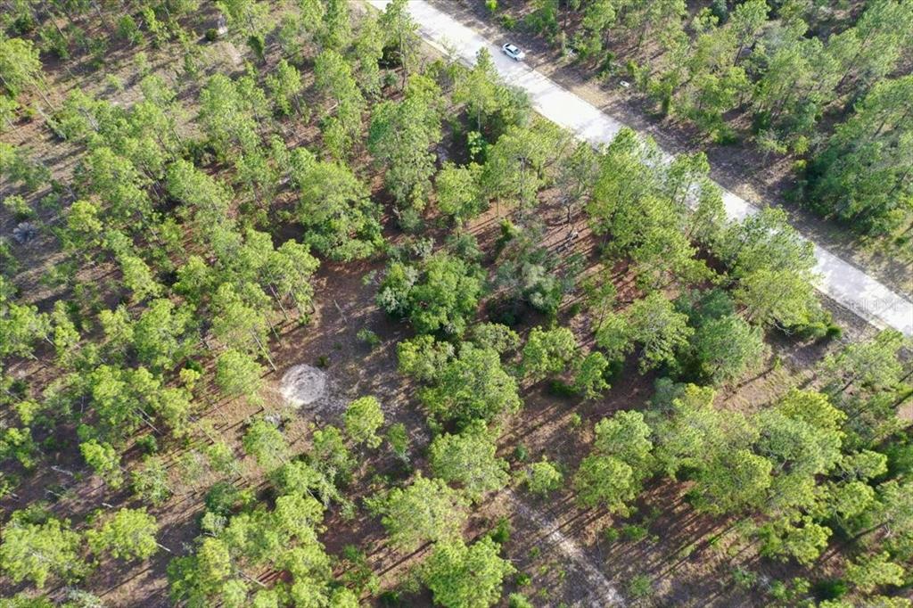 An aerial view shows a wooded lot with a dirt road and a parked car — 0000 NE 131 LOT 9 TERRACE, WILLISTON, FL