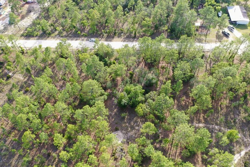 An aerial view shows a wooded, undeveloped lot bordering a paved road — 0000 NE 131 LOT 9 TERRACE, WILLISTON, FL