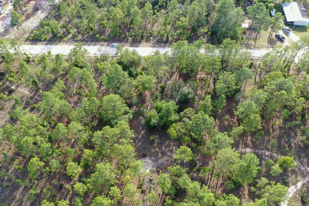 An aerial view shows a wooded lot with a paved road running through the property — 0000 NE 131 LOT 9 TERRACE, WILLISTON, FL
