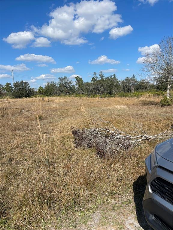 A view of a flat, grassy vacant lot under a blue sky with scattered clouds — HAMMERMILL AVENUE, LAKE WALES, FL